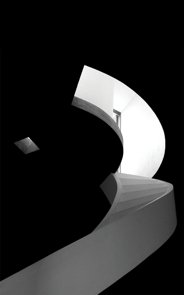 DDIR Logo